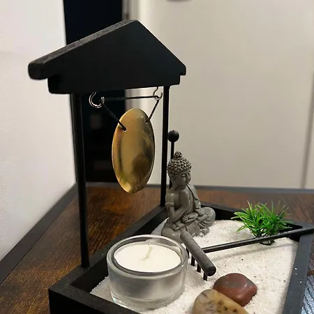 公寓 Le Flamboyant - Wifi - - Cosy *